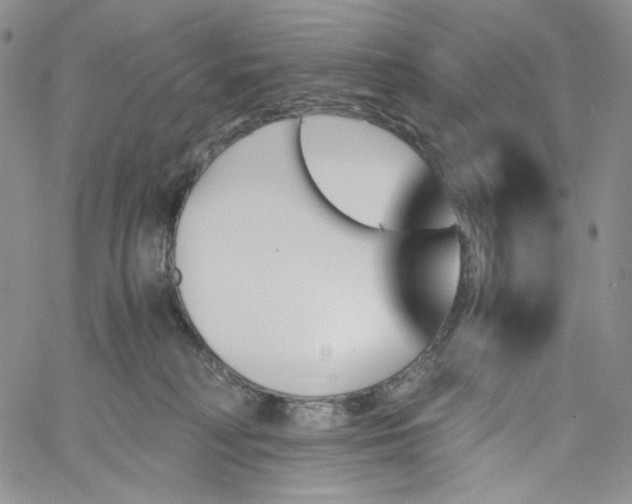 X0000060800230200511241918