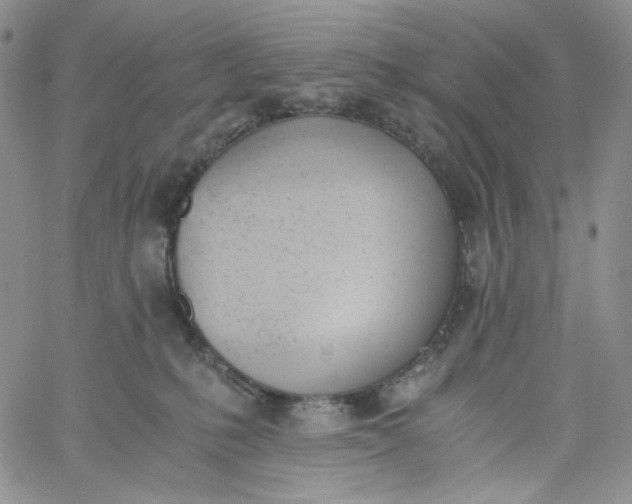 X0000060800231200511241918