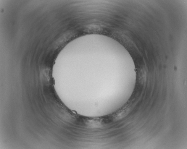 X0000060800232200511241918