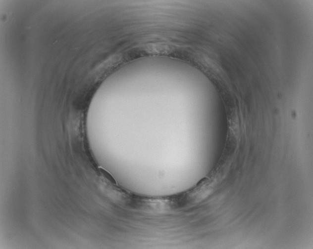 X0000060800233200511241918