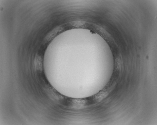 X0000060800234200511241918