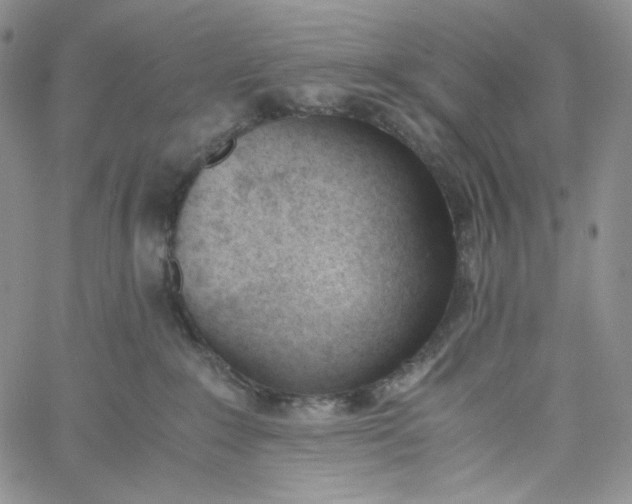 X0000060800235200511241918