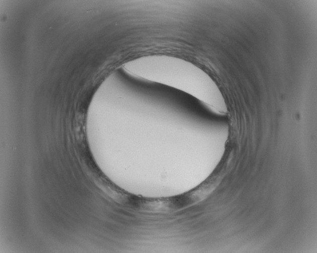 X0000060800237200511241918