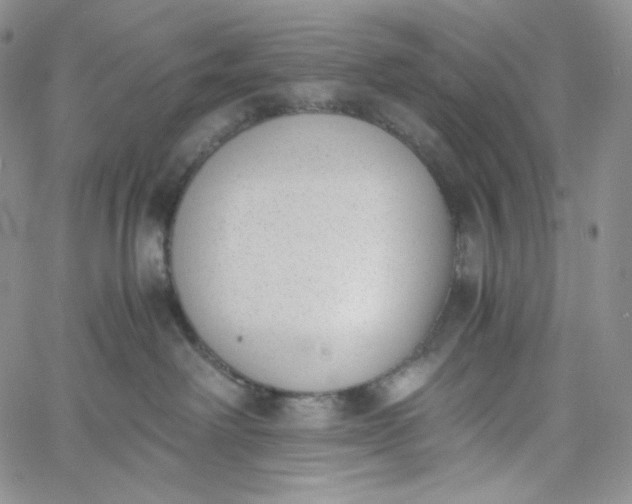 X0000060800238200511241918