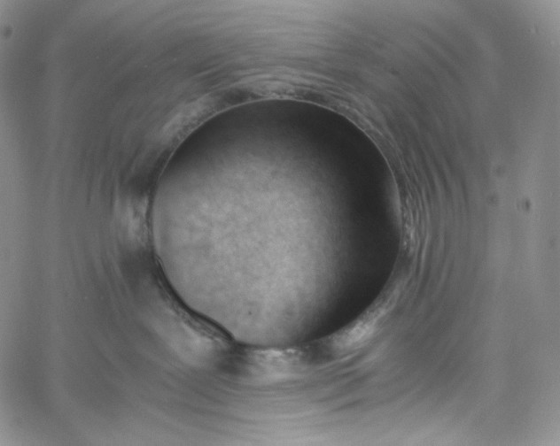 X0000060800239200511241918