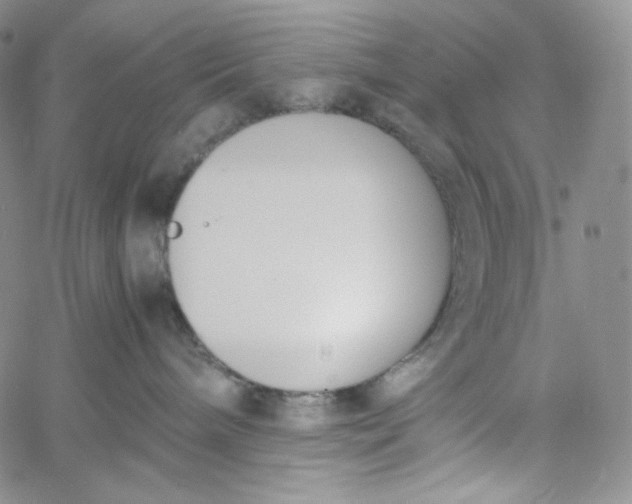 X0000060800240200511241918