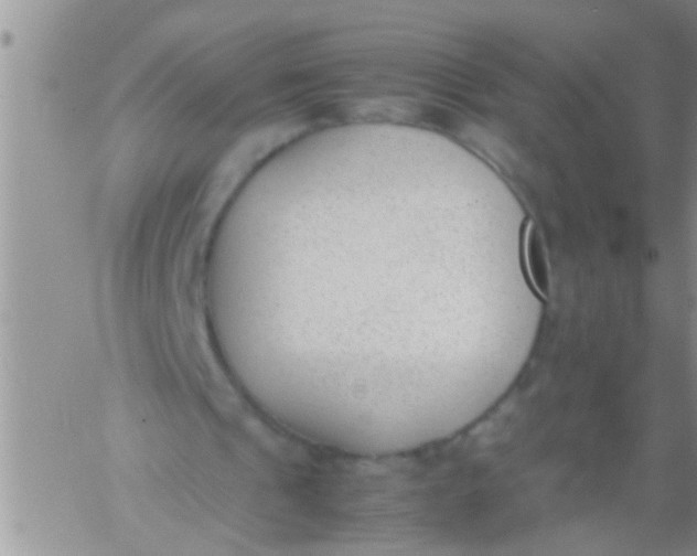 X0000060800241200511241917