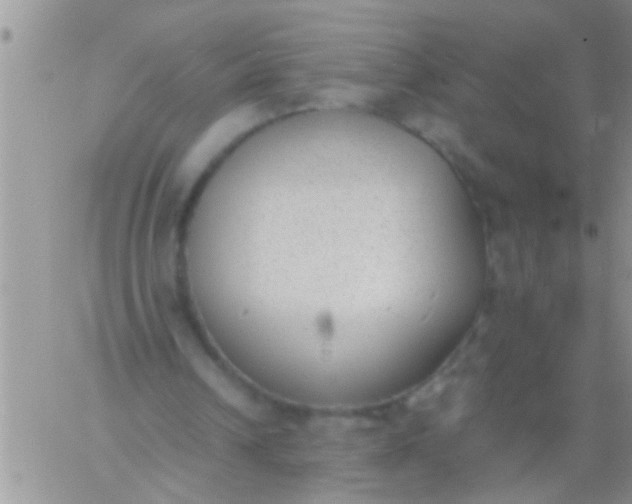 X0000060800242200511241917