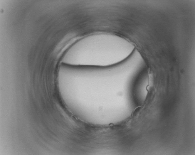 X0000060800243200511241917