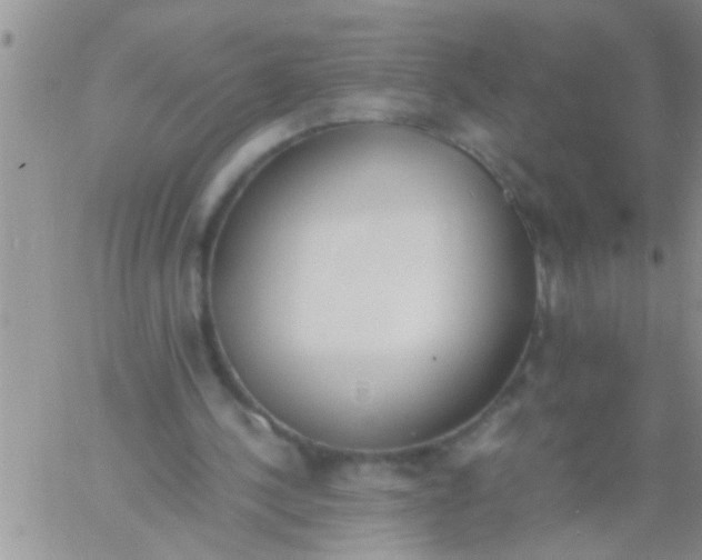 X0000060800244200511241917