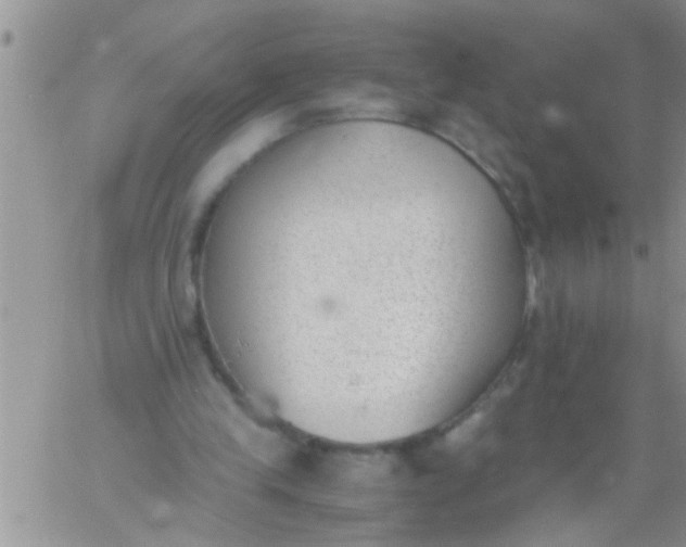 X0000060800245200511241917