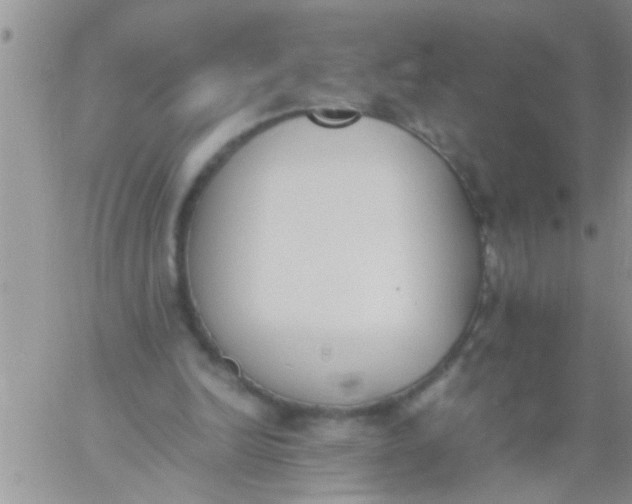 X0000060800246200511241917