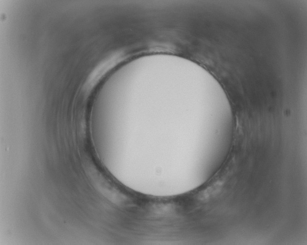 X0000060800247200511241917