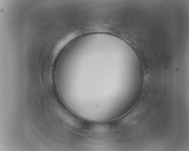 X0000060800248200511241917