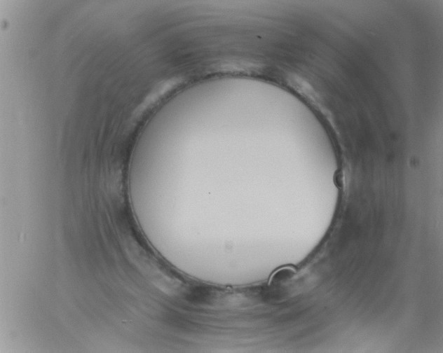 X0000060800249200511241917