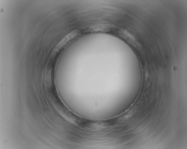 X0000060800250200511241917