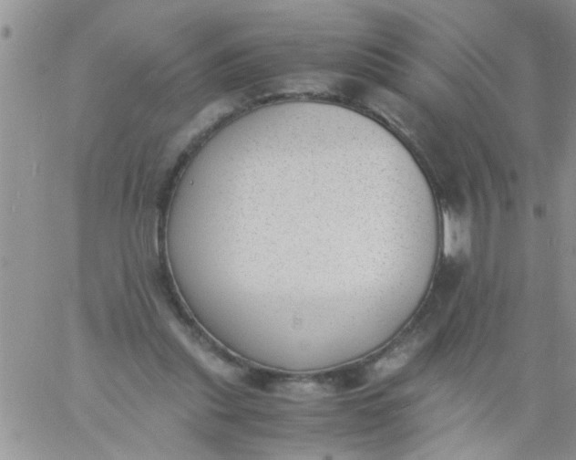 X0000060800253200511241917