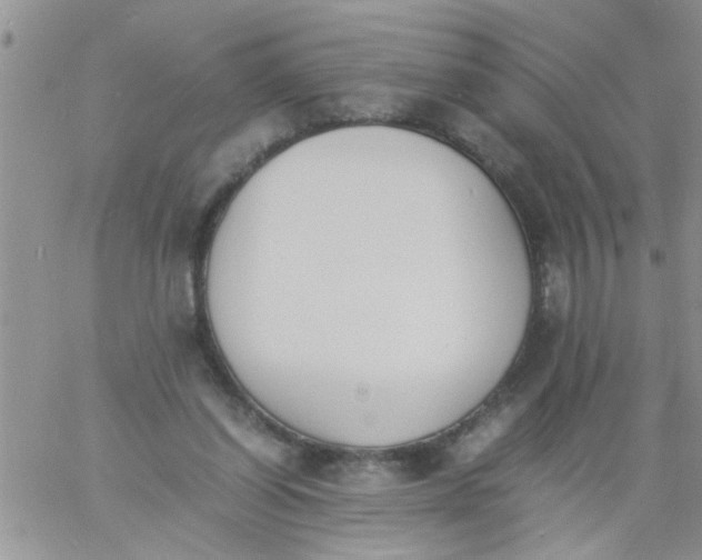 X0000060800254200511241917