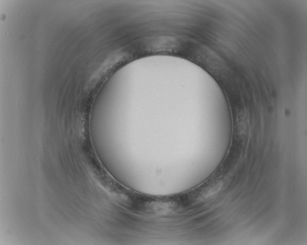 X0000060800255200511241917