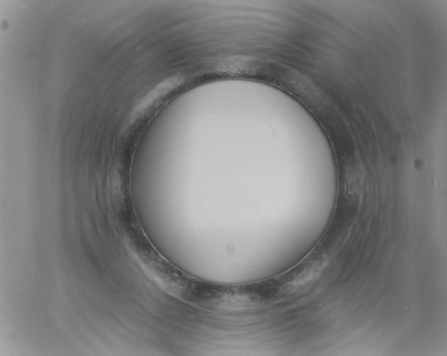 X0000060800256200511241917