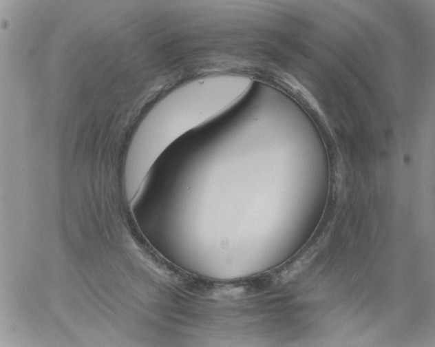 X0000060800257200511241917