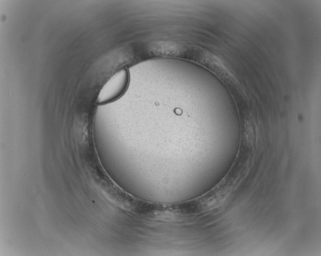 X0000060800259200511241917