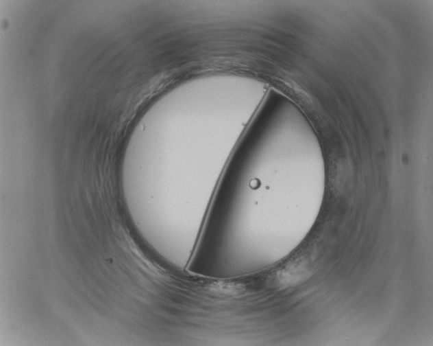 X0000060800261200511241917