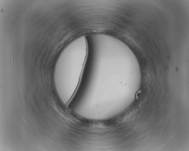 X0000060800262200511241917