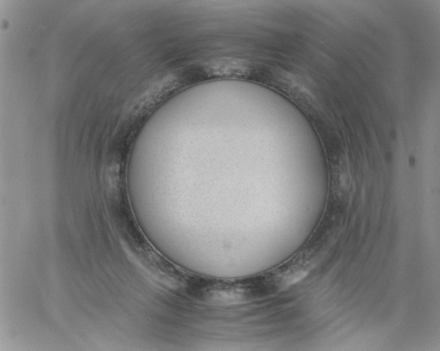 X0000060800263200511241918