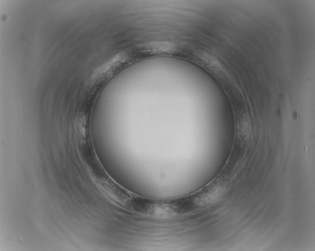 X0000060800264200511241918