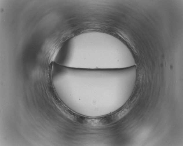 X0000060800265200511241918