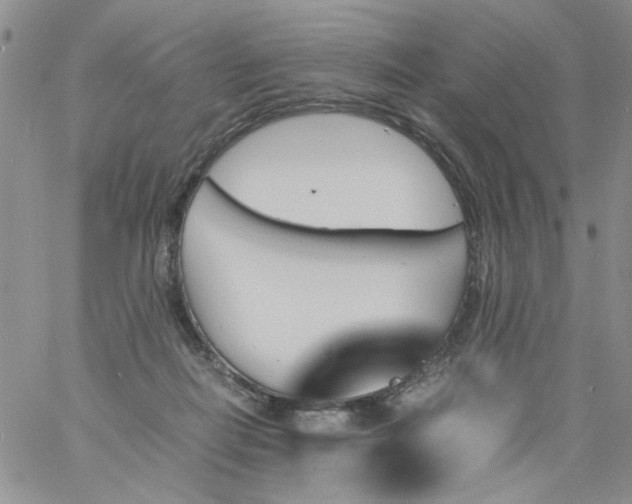 X0000060800266200511241918