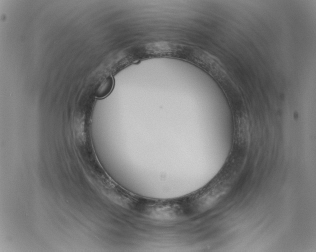 X0000060800267200511241918