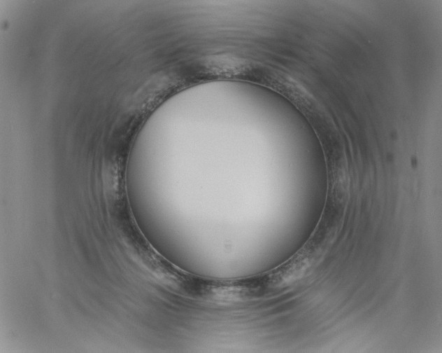 X0000060800268200511241918