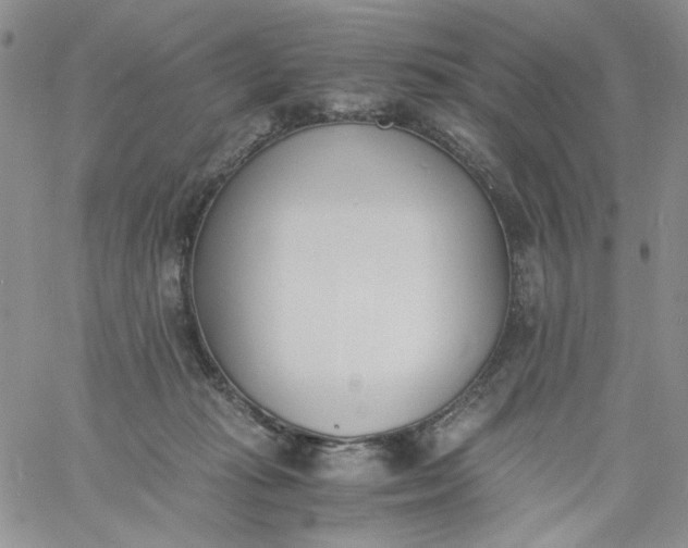 X0000060800269200511241918