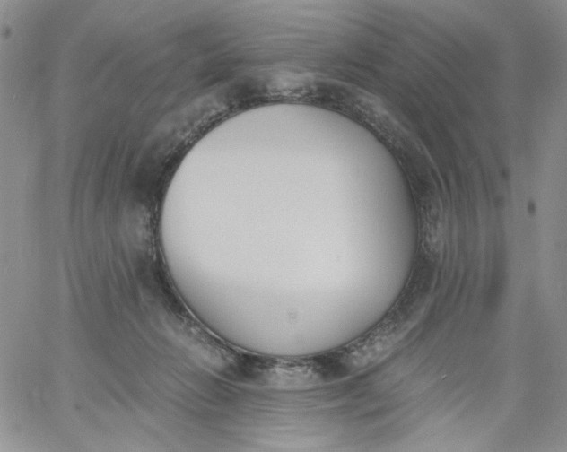 X0000060800270200511241918