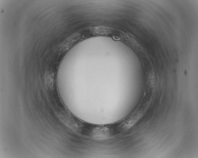 X0000060800271200511241918