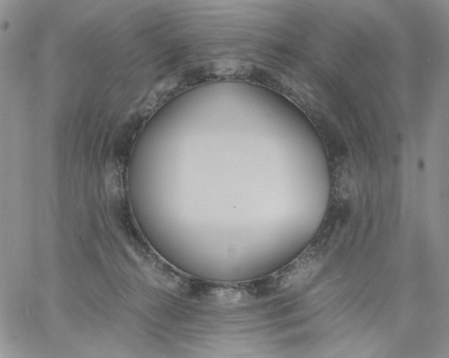 X0000060800272200511241918