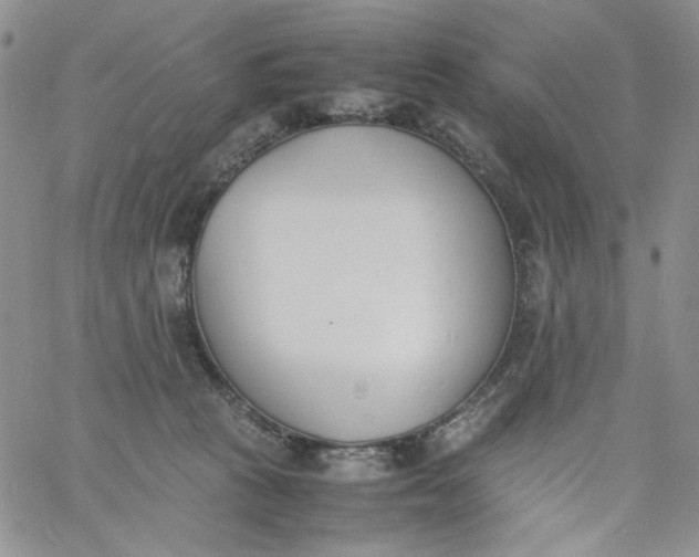 X0000060800273200511241918