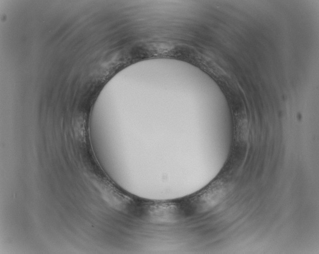 X0000060800274200511241918