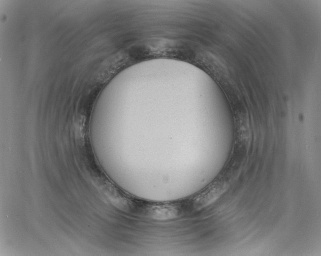 X0000060800275200511241918