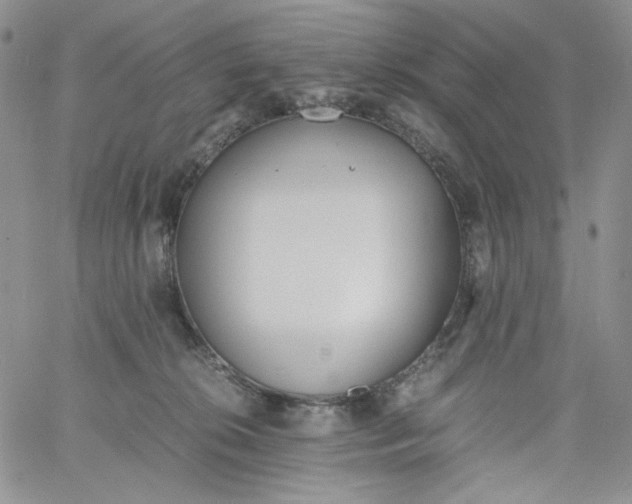 X0000060800276200511241918