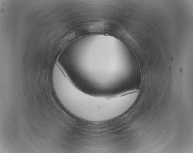 X0000060800277200511241918