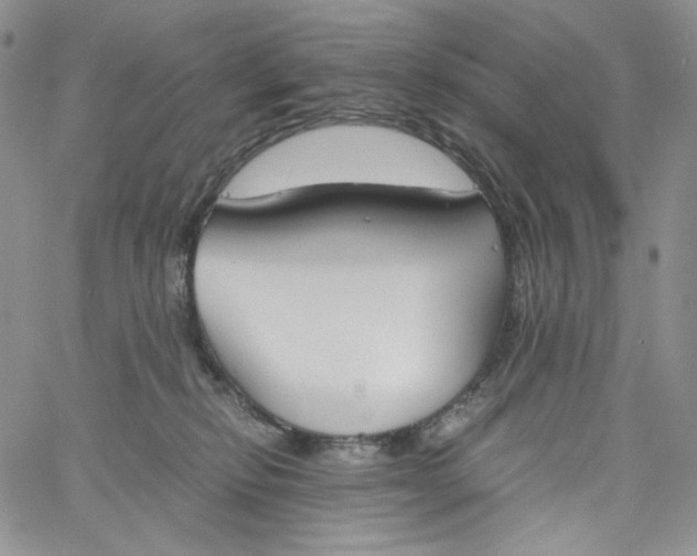 X0000060800278200511241918