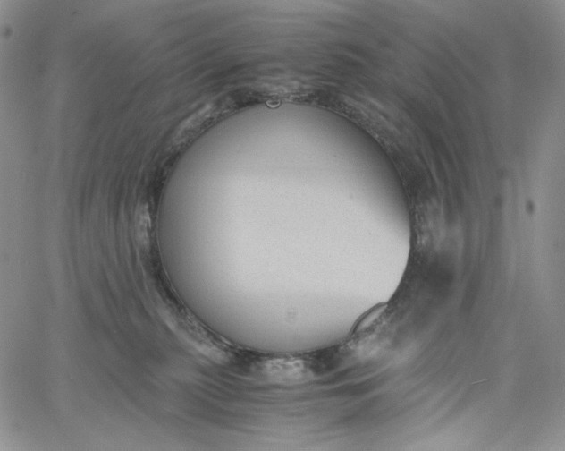 X0000060800279200511241918