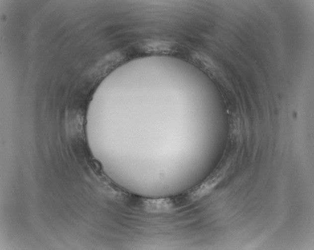 X0000060800281200511241918