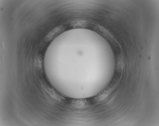 X0000060800282200511241918