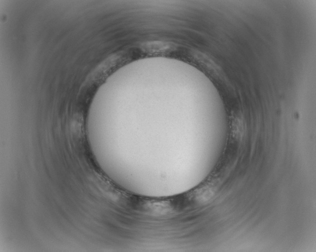 X0000060800283200511241918