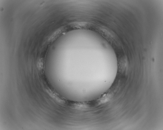 X0000060800284200511241918