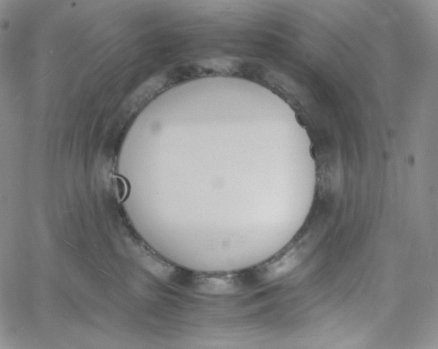 X0000060800285200511241918